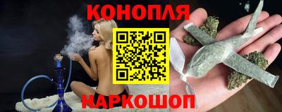 прущие грибы Чебоксары